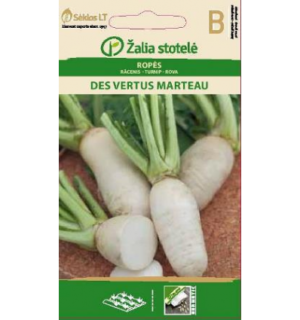 Naeris Des Vertus Marteau*