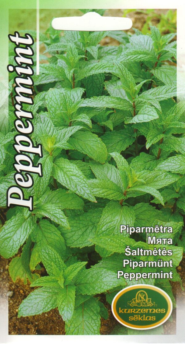 Piparmünt