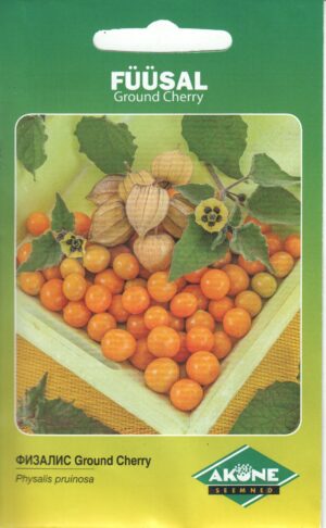 Füüsal Ground Cherry