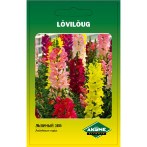 Lõvilõug Tetraploid mix