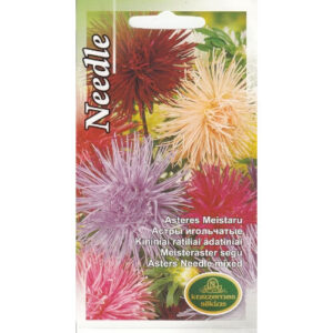Meisteraster segu Needle*
