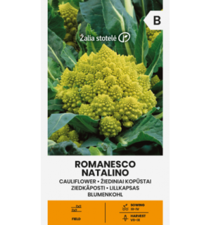 Lillkapsas Romanesco Natalino*6