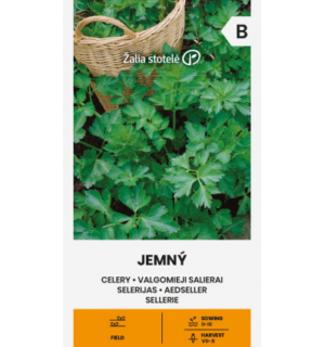 Aedseller Jemny*7