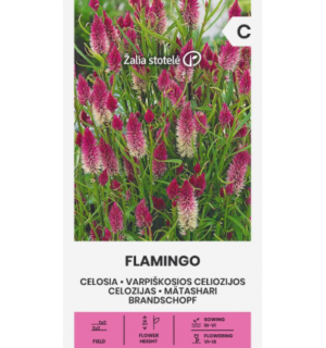 Mätashari Flamingo