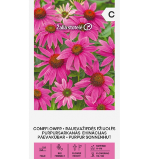 Purpur-siilikubar Echinacea purpurea seemnete pakend