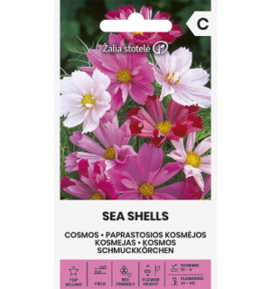 Kosmos Sea Shells segu
