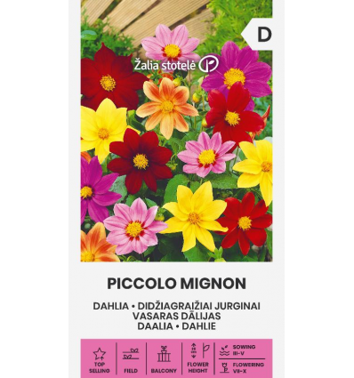 Daalia Piccolo Mignon segu