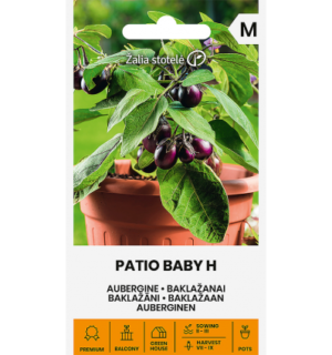 Baklažaan Patio Baby F1