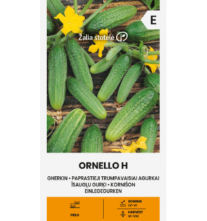 Kurk Ornello F1*7