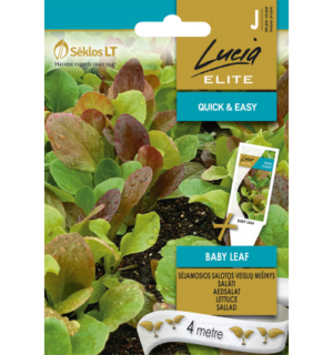 Aedsalat Baby Leaf lindil