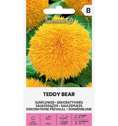 Päevalill Teddy Bear ah
