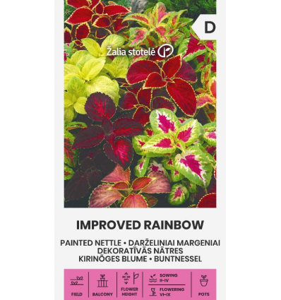 Kirinõges Blume Improved Rainbow