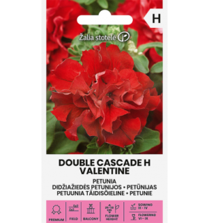 Täidisõieline petuunia Double Cascade Valentine F1*7