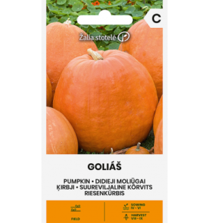 Suureviljaline kõrvits Goliaš