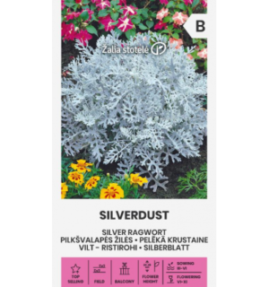 Vilt-ristirohi Silverdust
