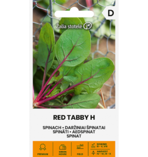 Aedspinat Red Tabby F1