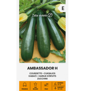 Suvikõrvits Ambassador F1*7
