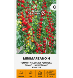 tomat-minimarzano-h