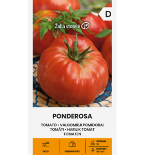 Tomat Ponderosa