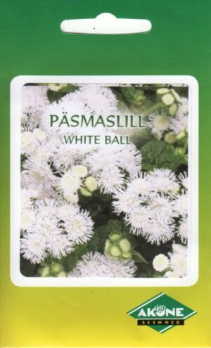 Mehhiko päsmaslill White Ball