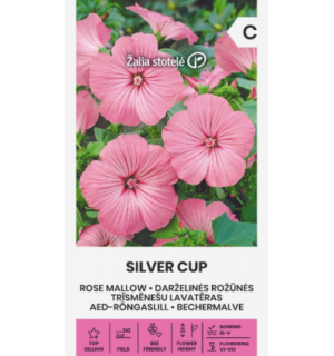 Aed-rõngaslill Silver Cup