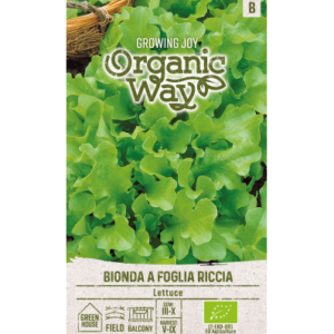Aedsalat Bionda A Foglia Riccia
