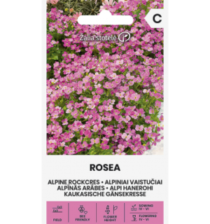 Alpi hanerohi Rosea