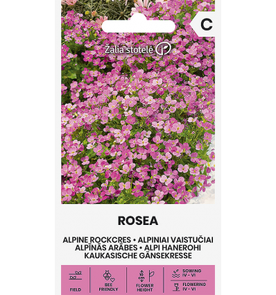 Alpi hanerohi Rosea