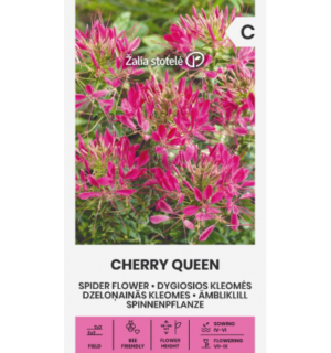 Ämbliklill Cherry Queen