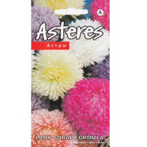 Aster Lady Coral Formula