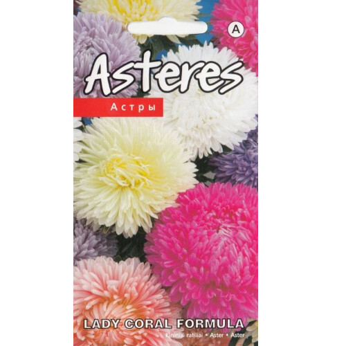 Aster Lady Coral Formula