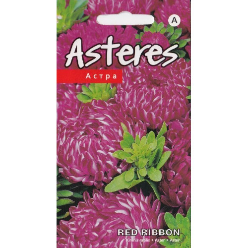 Aster Red Ribbon