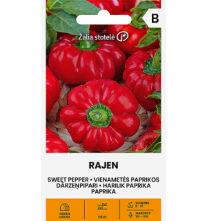 Harilik paprika Rajen