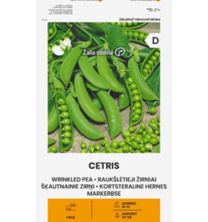 Hernes Cetris