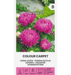 Hiina aedaster Colour Carpet