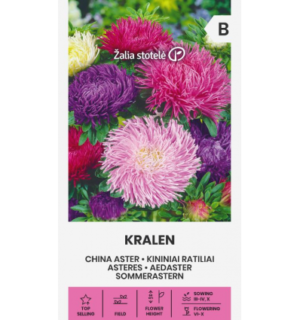 Hiina aedaster Kralen
