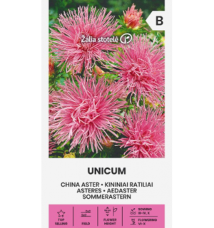 Hiina aedaster Unicum roosa
