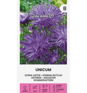 Hiina aedaster Unicum lilla