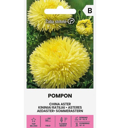 Hiina aster "Pompon" kollane