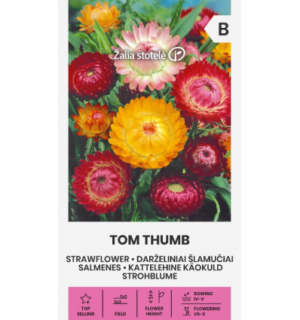 Kattelehine käokuld (õlelill) Tom Thumb