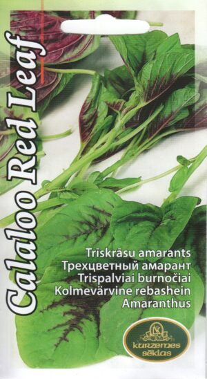 Kolmevärviline rebashein Calaloo Red Leaf*5