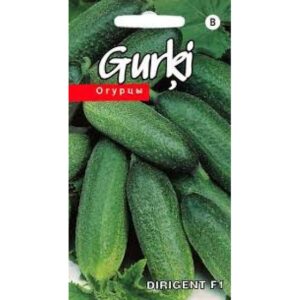 Kurk Dirigent F1