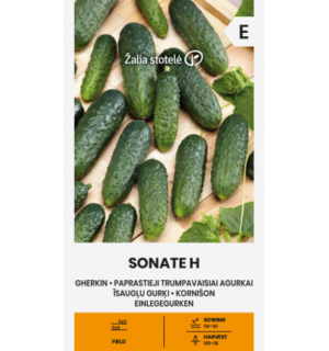 Kurk Sonate H
