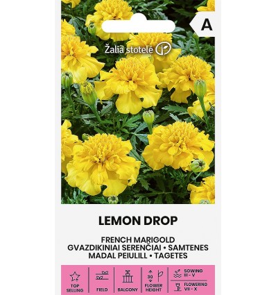 Madal peiulill(tagetes) Lemon Drop