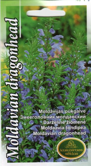 Moldaavia tondipea (valkjas tondipea)