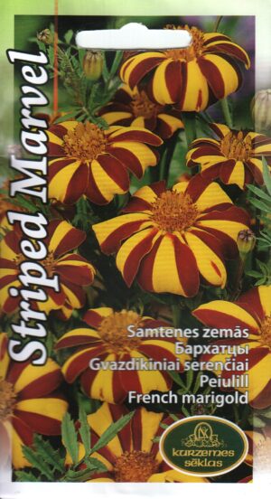 Peiulill(tagetes) Striped Marvel*