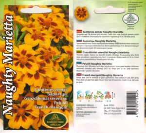 Peiulill (tagetes) naughty Marietta