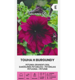 Suureoieline petuunia Petunia grandiflora Touha H Burgundy seemnete pakend