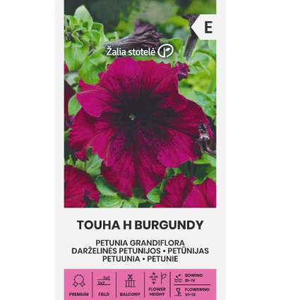 Petuunia Touha Burgundy H