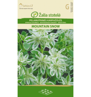 Piimalill Mountain Snow